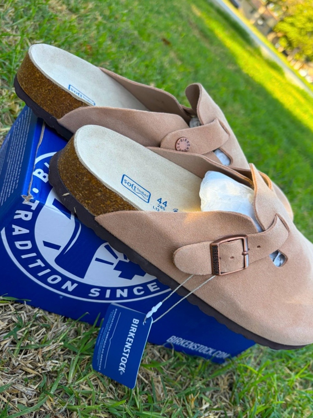 Birkenstock Men Blush Suede Slip-On Clogs with Cork Footbed
